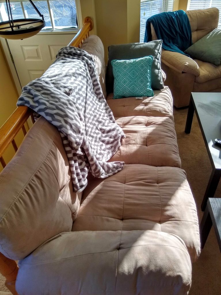 A couch next to the window with sunlight streaming through. On it are two pillows and a blanket which will be used to enhance this couch's level of Cozy and Snug.