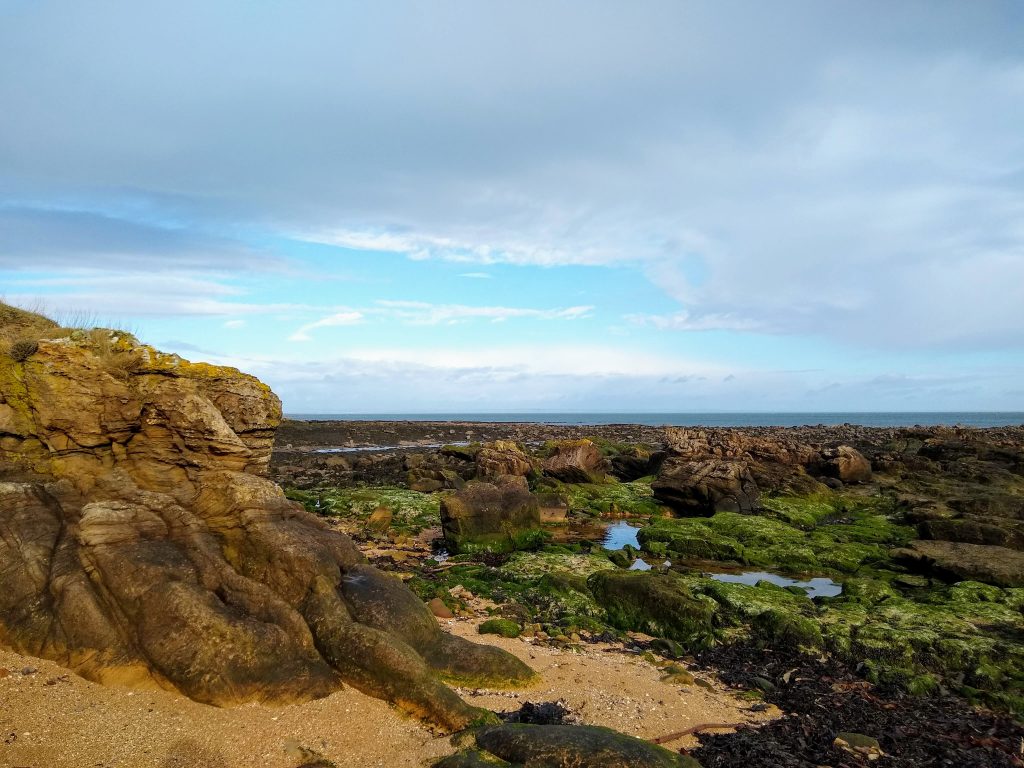 A view of the Scottish coast at low tide. Tide pools reflect the perfectly blue sky and moss-covered rocks. A low cliff rises to the left.