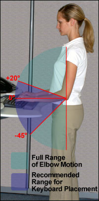 An office worker stands at her desk. A colored arc shows the potential range of her elbow movement. 