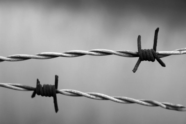A black and white close-up of barbed wire. Two strands are visible, each shows one nasty-looking wire knot