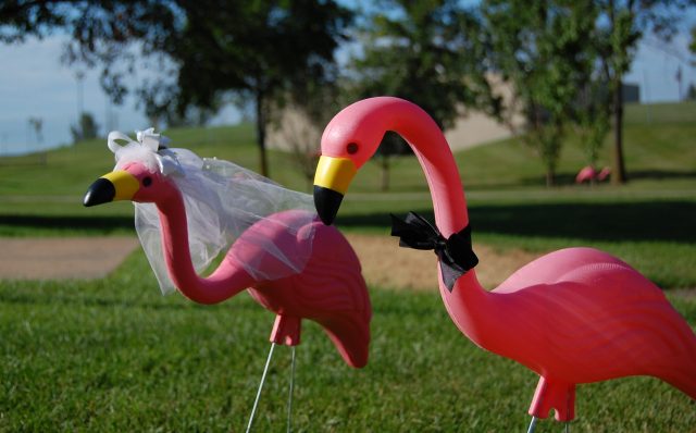 Two plastic flamingos, one with a bridal veil and one with a bow tie.