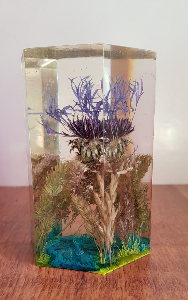A dried wild thistle is set in a hexagonal, clear column of expoxy resin. There are a few other grasses scattered around so the thistle is set in a more life-like environment.