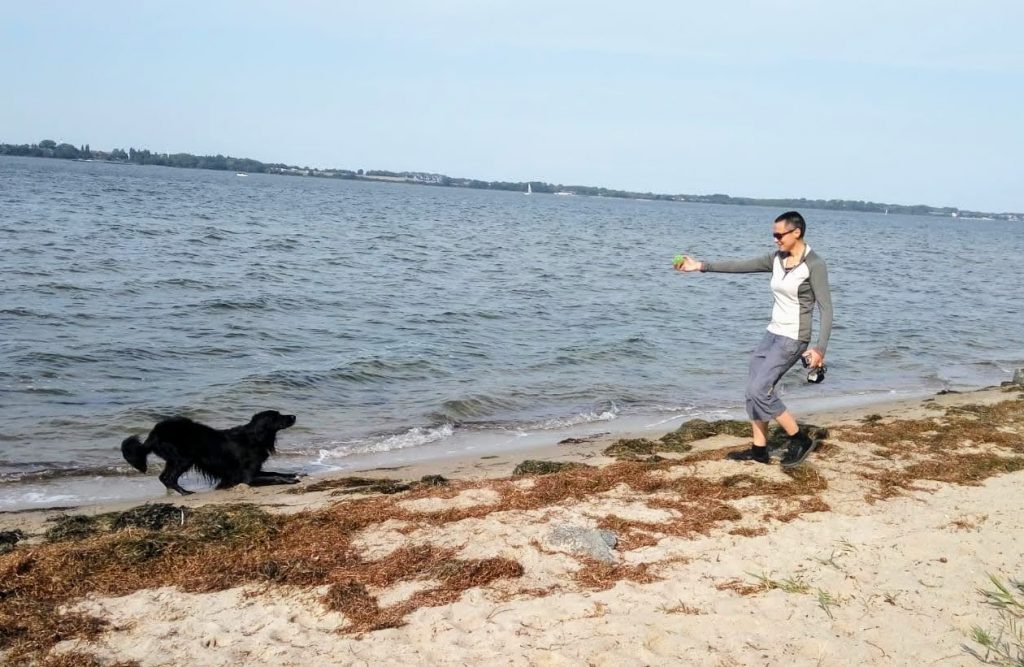 A photo of Francesca and Jago on the beach. The far shore is just visible across the water. It's a sunny day, and Francesca is wearing sunglasses. She's standing to the right, holding a ball out Jago. Jago, on the left, is eagerly waiting to pounce on it.