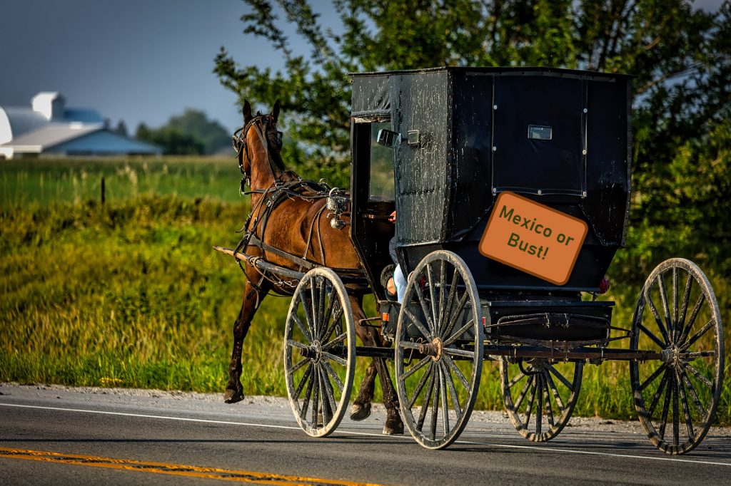 A photo of an Amish horse and buggy on the road. A farm is barely visible on the horizon. The photo is taken from behind the buggy. There's a sign on the back that reads, "Mexico or Bust!"