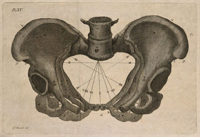 An old-fashioned engraving showing the bones of the pelvis. The view is from the front. There are several lines showing various dimensions, each with its own Roman numeral. But there's no legend, so who knows what the significance of these lines are?