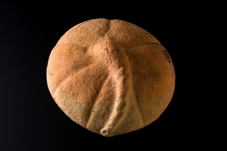 I honestly thought this was a picture of a sand dollar at first, but it's actually an ancient Roman terra cotta votive offering in the shape of a placenta. It also looks sort of like a steamed bun with a weird tail. It's round and slightly flattened, with six creases radiating out from the center. The tail-like thing, which is presumably the umbilical cord, originates in the center and spirals off to the bottom left.