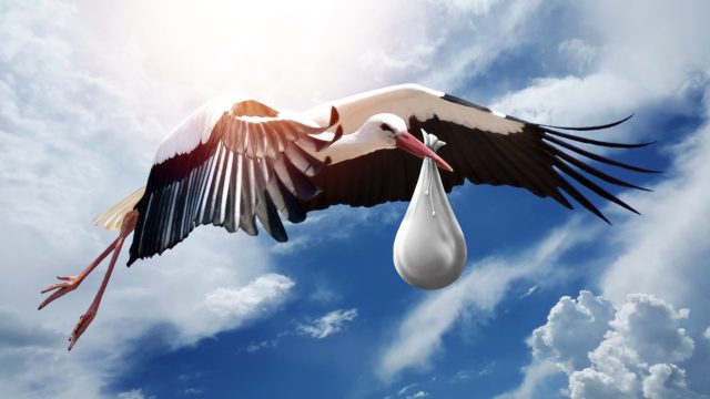 A stork flies through a blue sky scattered with perfect, puffy clouds. He is holding a white bag in his bill, which presumably contains a newborn baby.